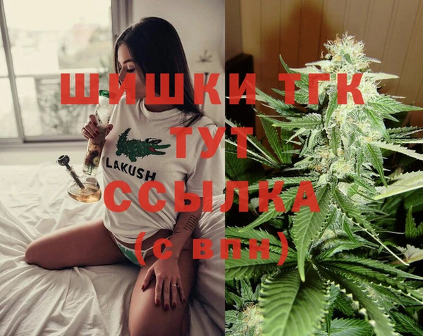 ECSTASY Богородицк