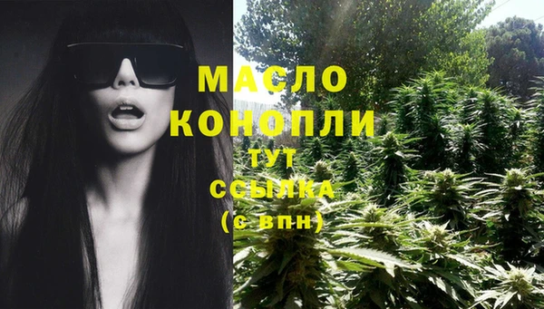 ECSTASY Богородицк